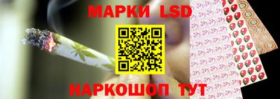 индика Краснознаменск