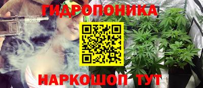 индика Краснознаменск