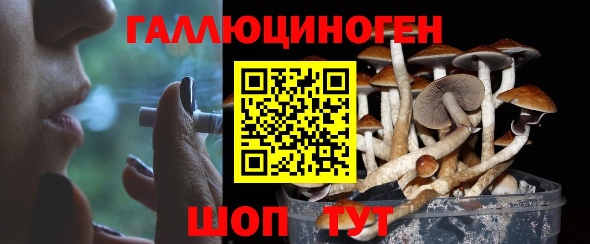 Кириши  Галлюциногенные грибы Magic Shrooms  Вход с VPN  Галлюциногенные грибы Psilocybine cubensis 